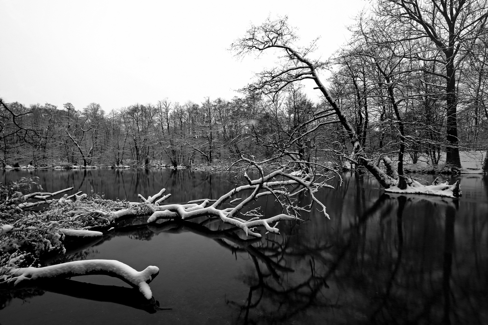 Die Würm im Winter