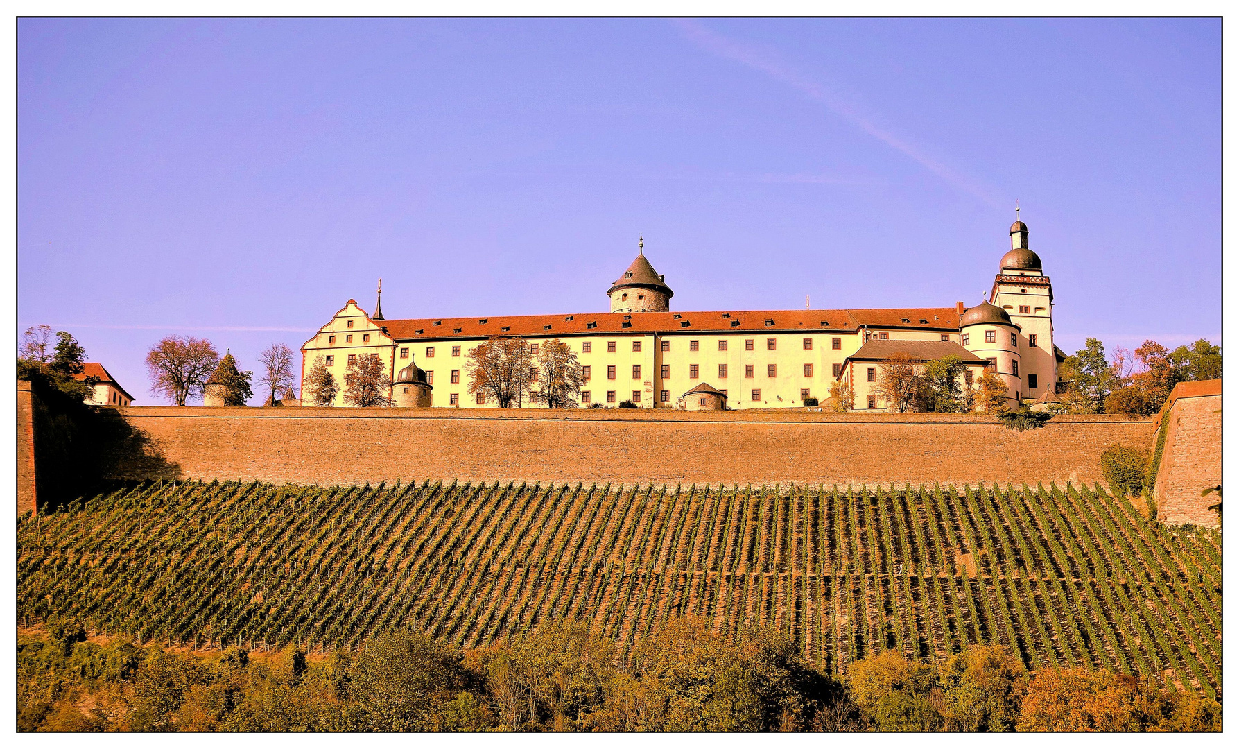 Die Würzburger Weinberge