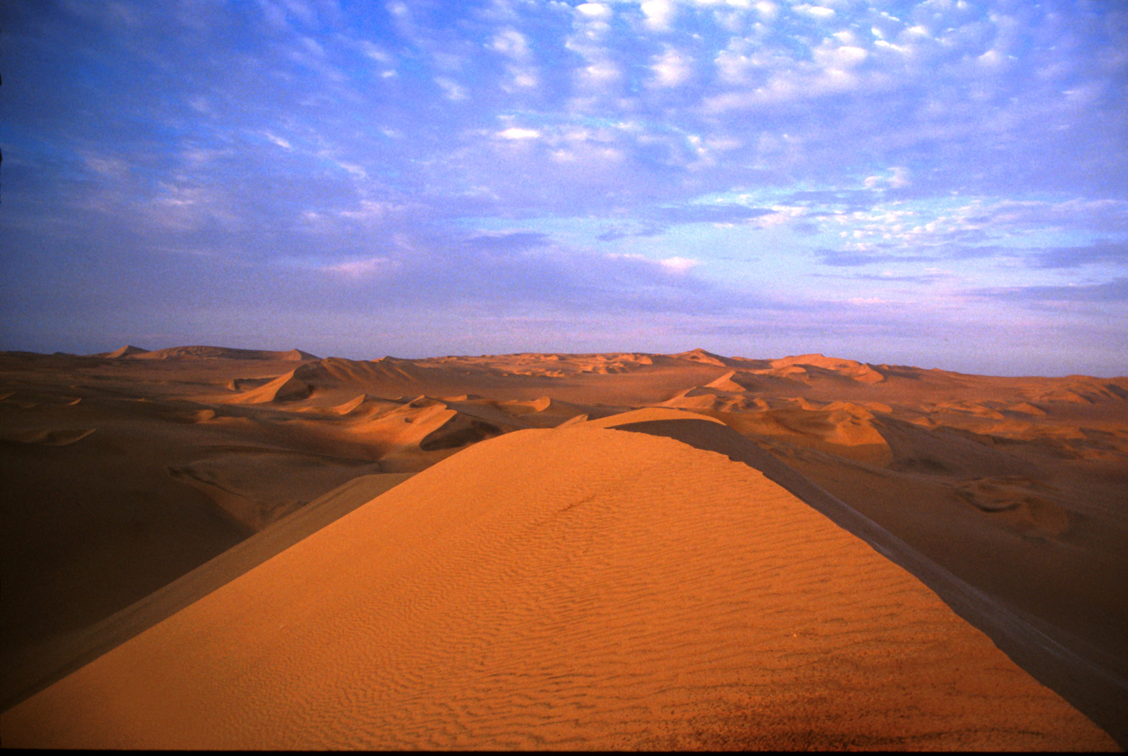 Die Wüste