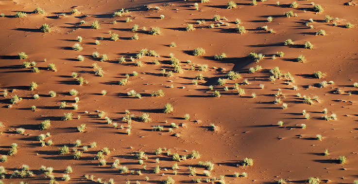 Die Wüste aus der Luft