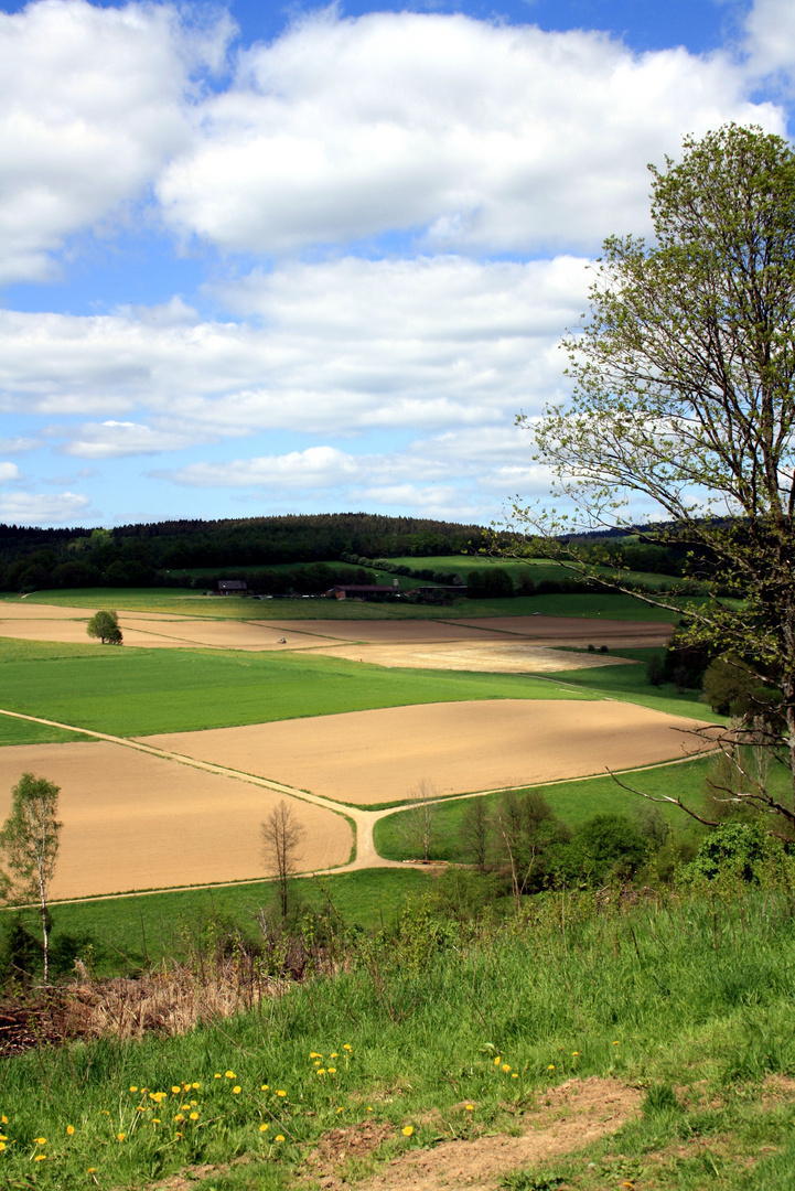 Die Wüste Beienbach