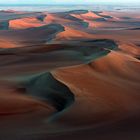 die Wüste erwacht - Stimmung kurz nach Sonnenaufgang