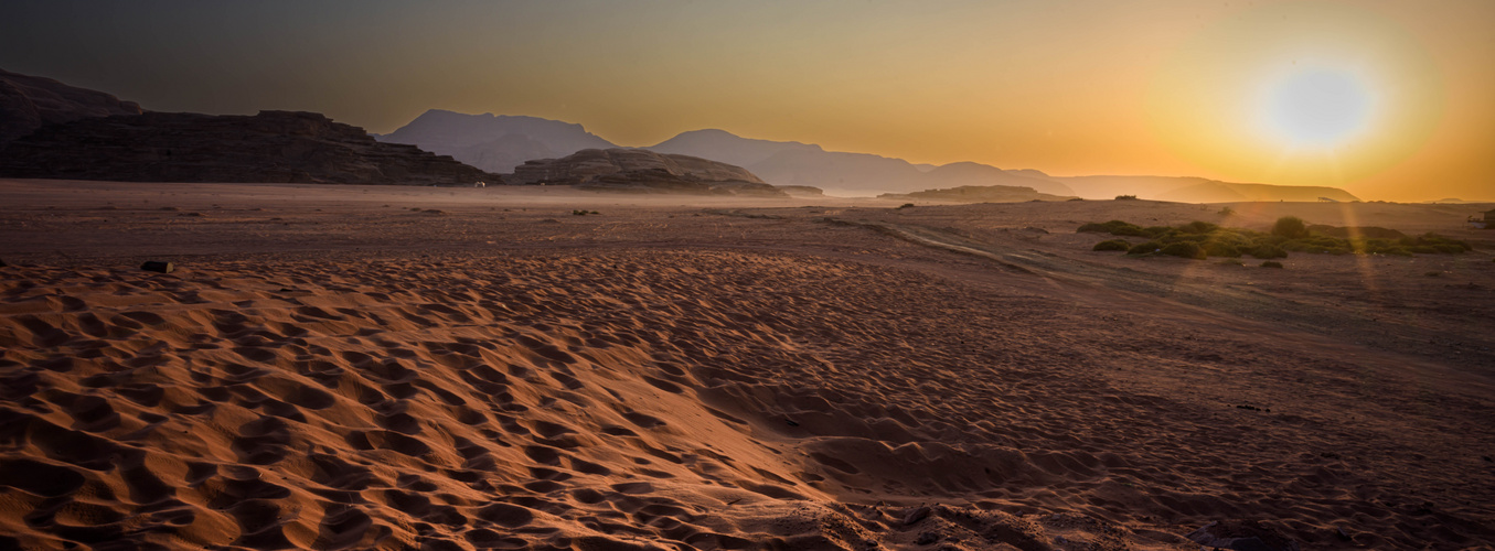 die Wüste erwacht-Wadi Rum in der Septembersonne 