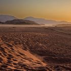 die Wüste erwacht-Wadi Rum in der Septembersonne 