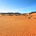 Die Wüste in Namibia bei Sossovlei