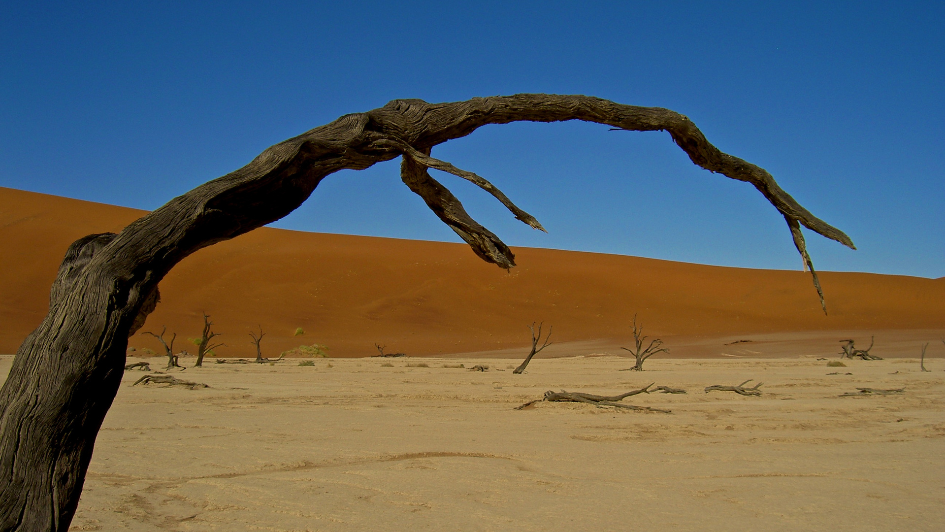 die Wüste in Namibia