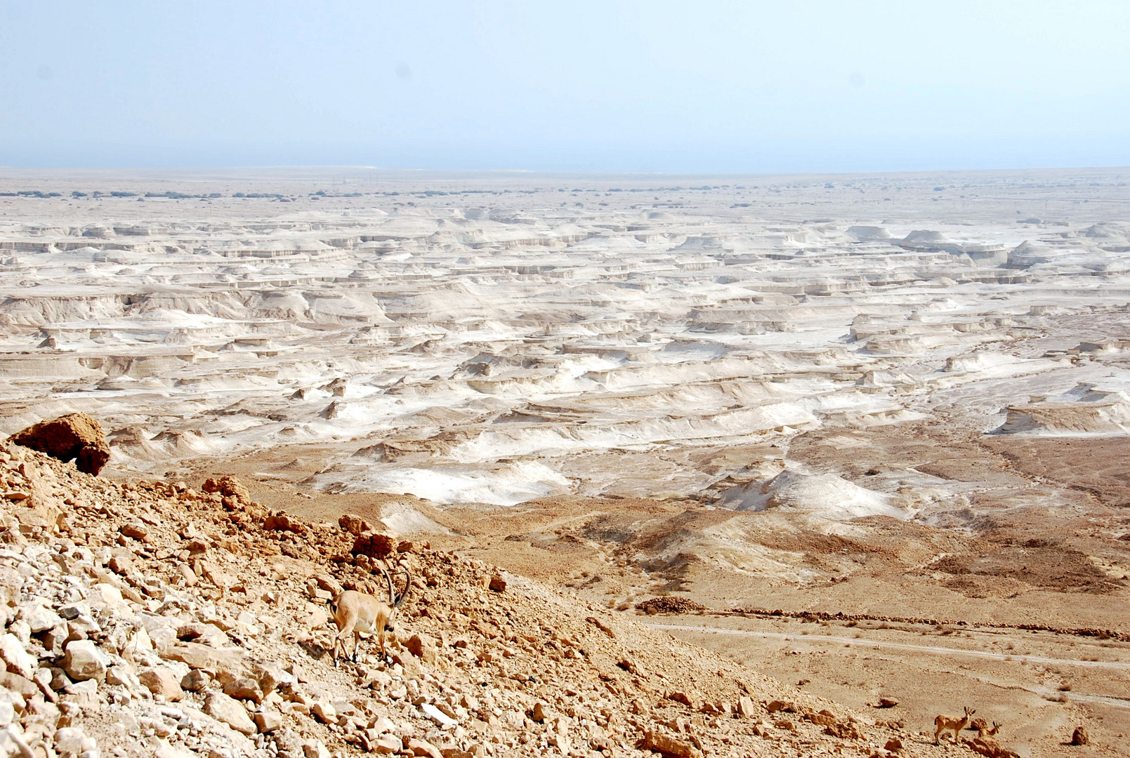 Die Wüste Juda um's Tote Meer...