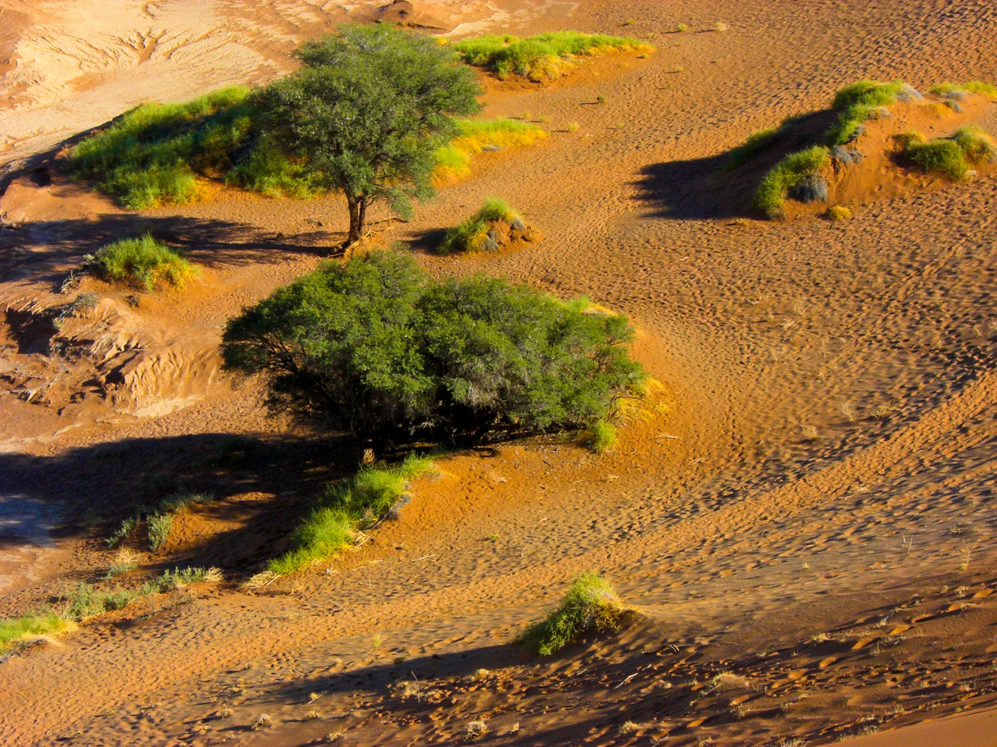 die Wüste lebt Foto & Bild landschaft, wüste, natur Bilder auf die Wüste lebt Foto & Bild landschaft, wüste, natur Bilder auf