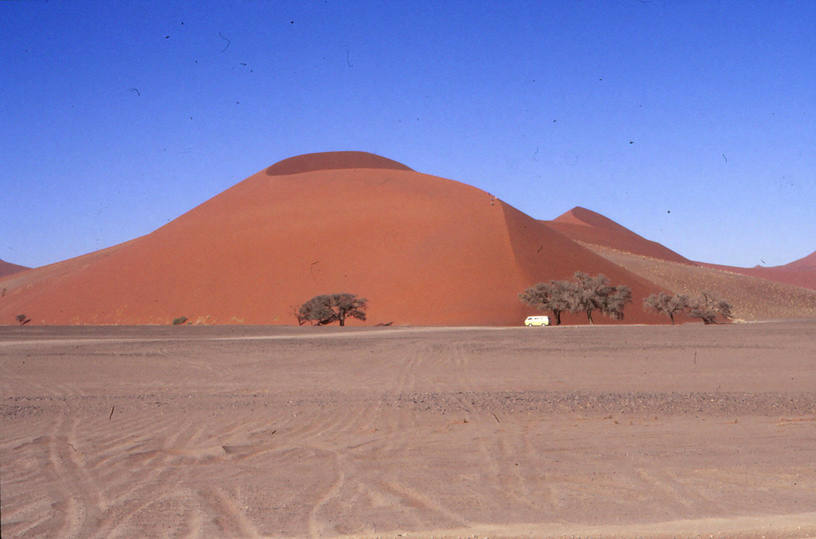 Die Wüste lebt (und wenn auch nur ein Camper für "Leben" sorgt
