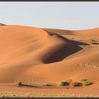 Die Wüste Namib auf dem Weg zum Sossusvlei