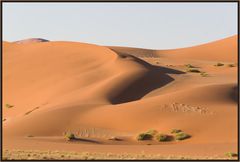 Die Wüste Namib auf dem Weg zum Sossusvlei