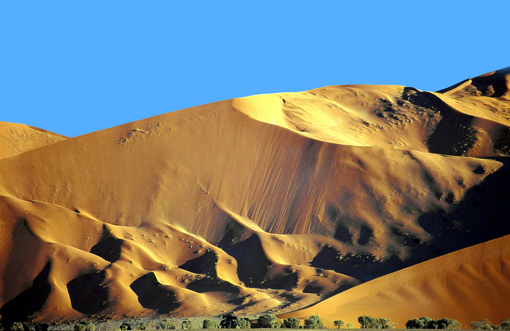 Die Wüste - Namibia