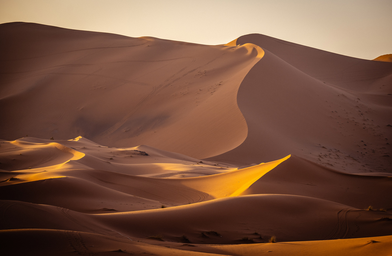 Die Wüste Sahara - einmalig