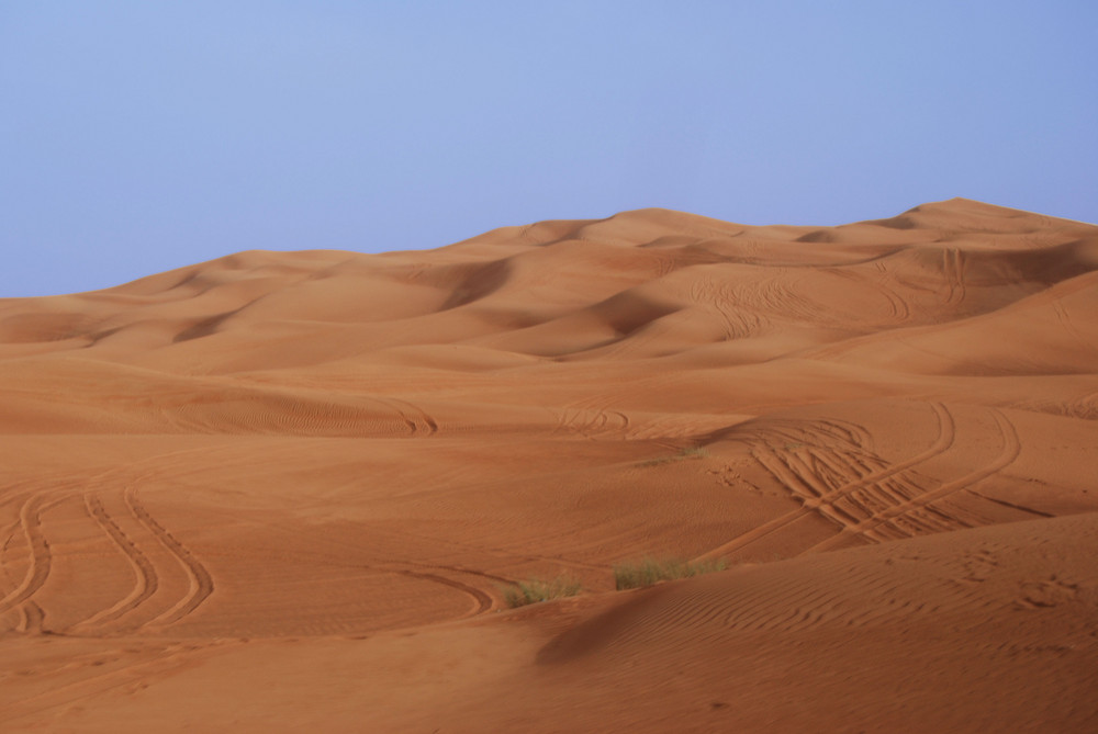 Die Wüste von Dubai von Gritchen 