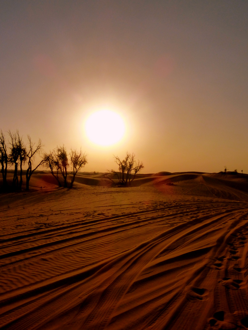 Die Wüste vor Abu Dhabi