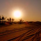 Die Wüste vor Abu Dhabi