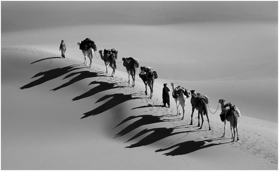 Die Wüsten-Symbiose - Tuareg und Kamele