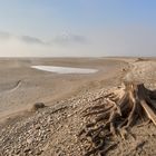 Die Wüstenlandschaft am Forggensee