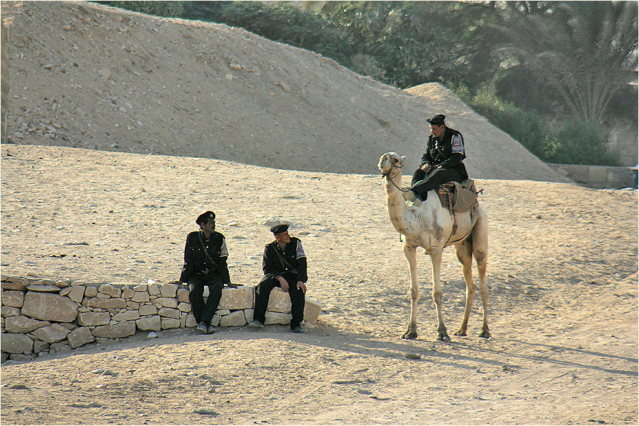 Die Wüstenpolizei