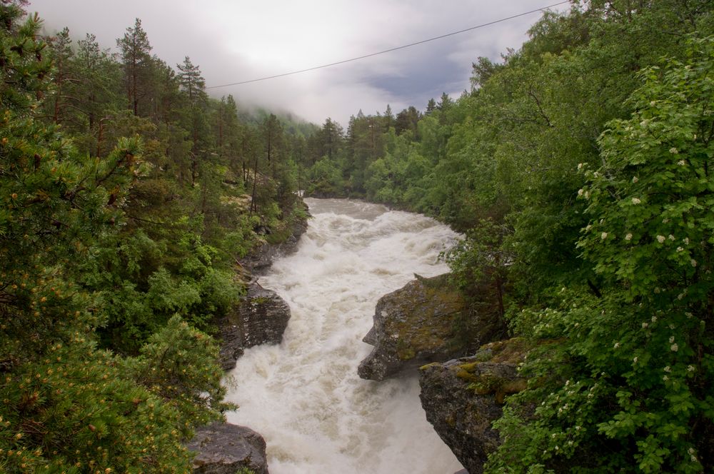 Die wütende "Rauma"