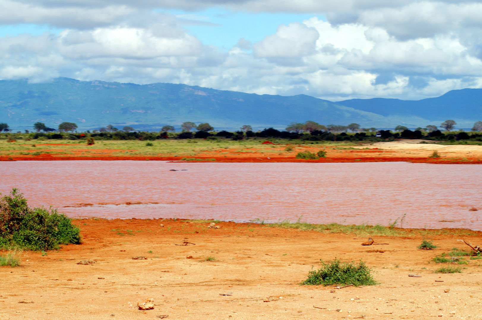 Die wunderbare Farbenwelt von Tsavo Ost