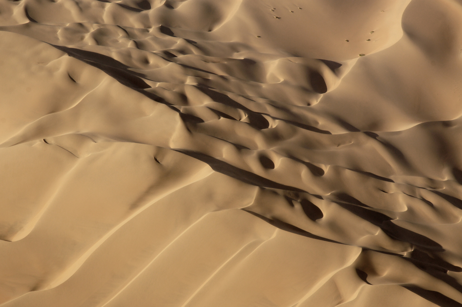 Die wunderbare Formenwelt der Dünen