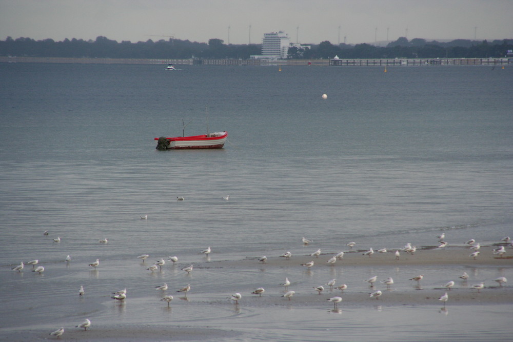 Die wunderbare Ostsee