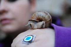 die wunderbare Welt der Schnecke =D