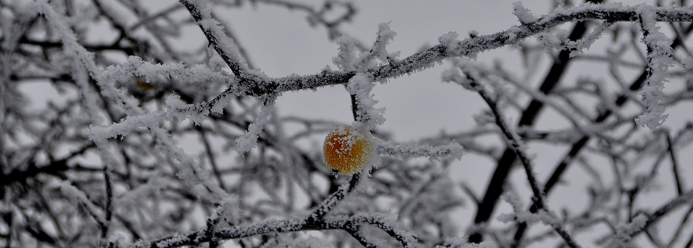 Die wunderbare Winterzeit!!