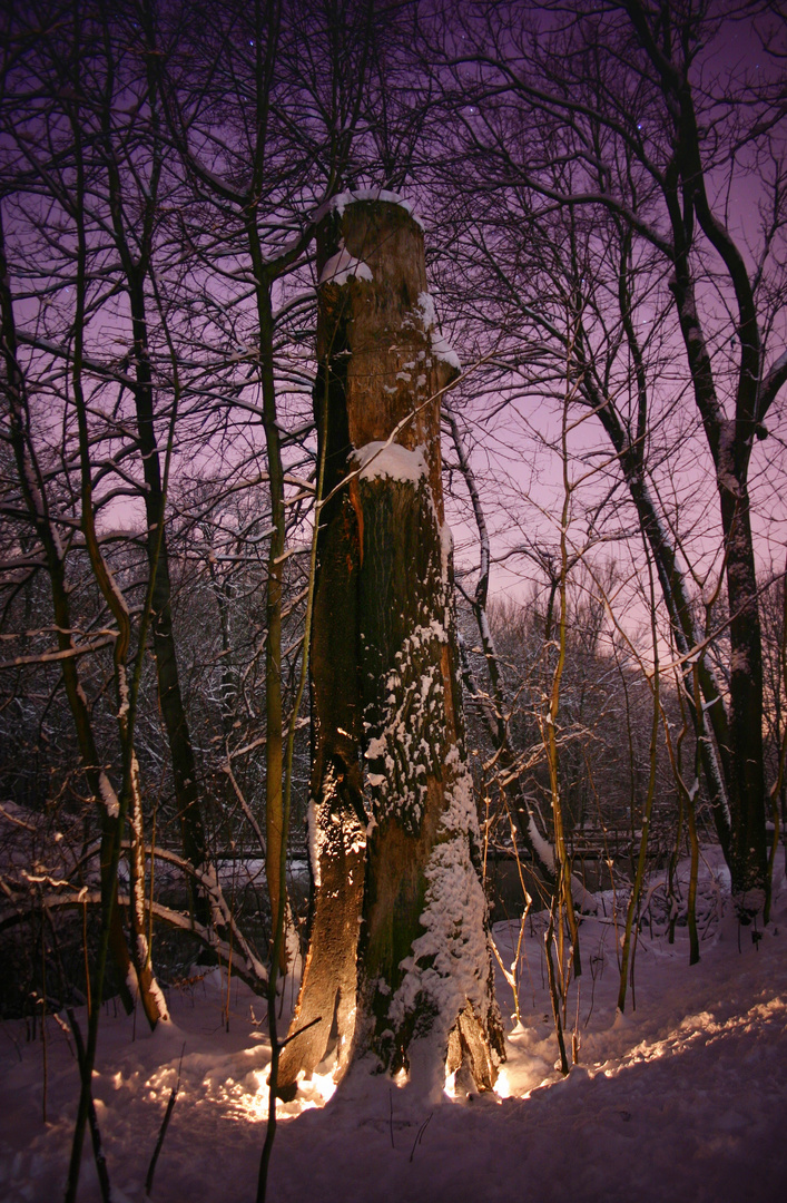 Die Wunderkerzen im Baum