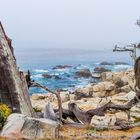 Die wunderschöne Pacificküste in Californien