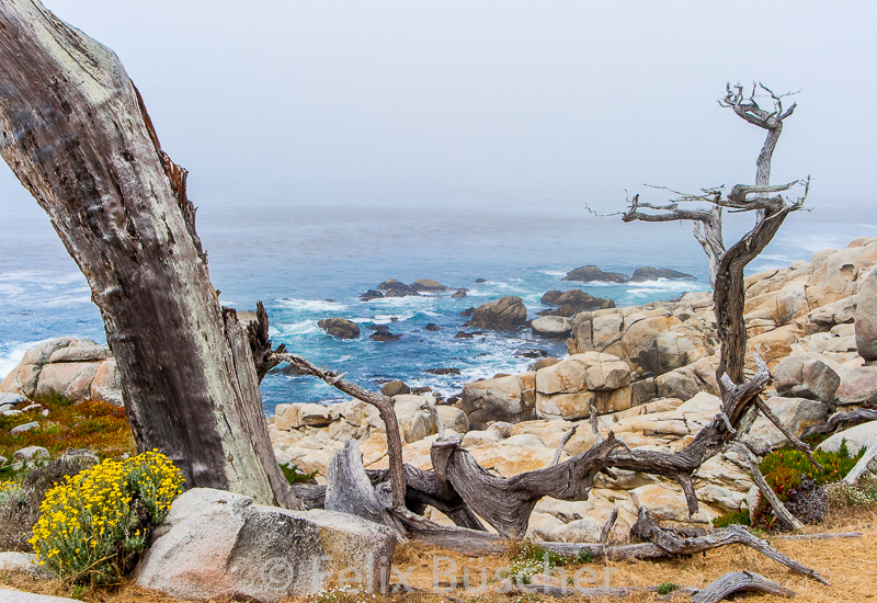 Die wunderschöne Pacificküste in Californien