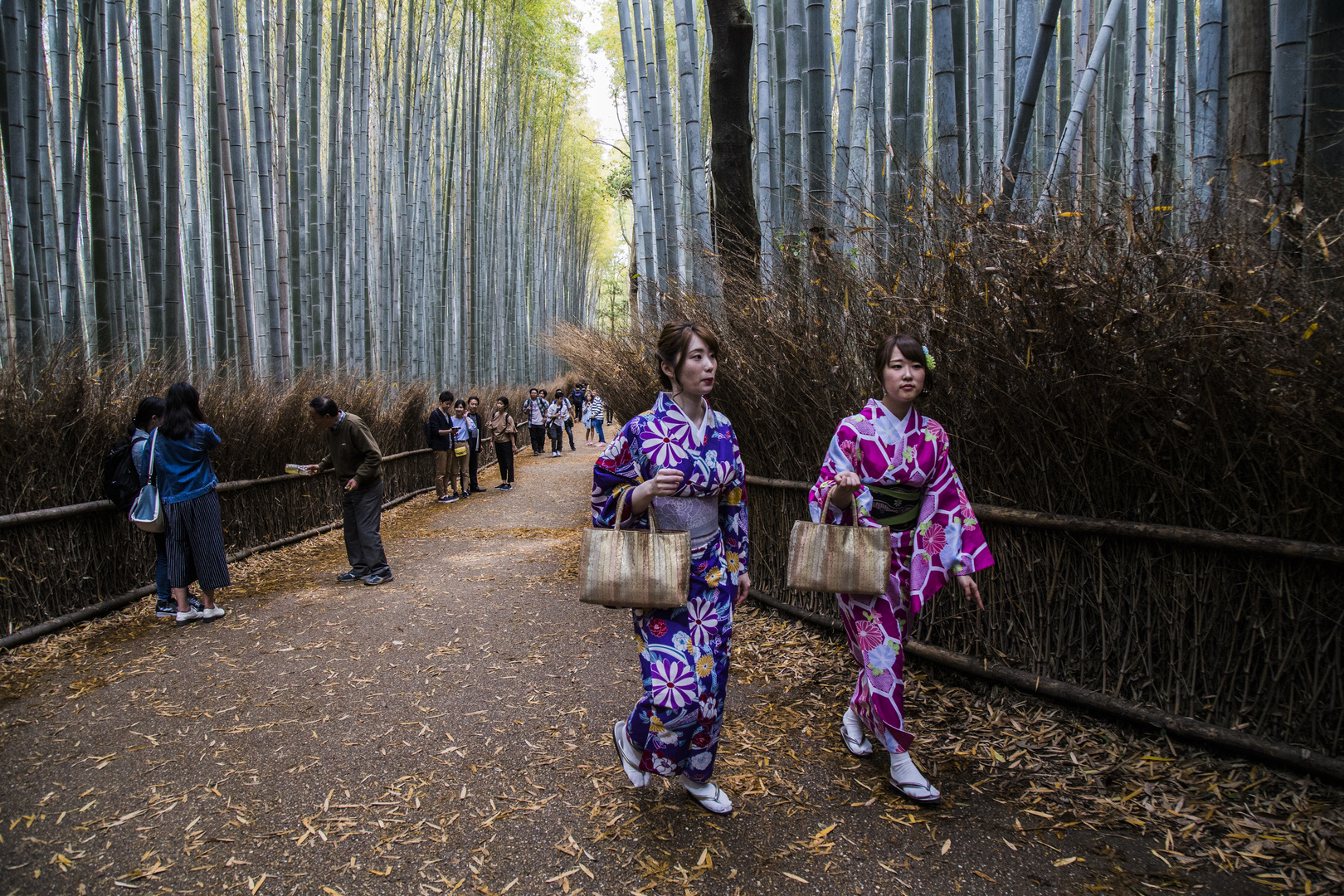 die Wunderschönen Kimono