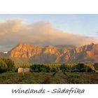 Die wunderschönen Winelands in Südafrika