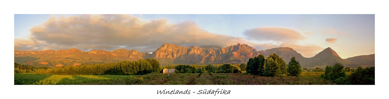 Die wunderschönen Winelands in Südafrika