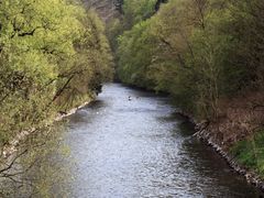 Die Wupper (02)