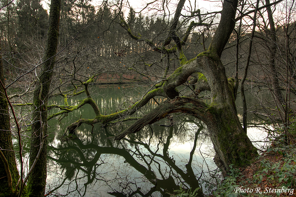 Die Wupper...