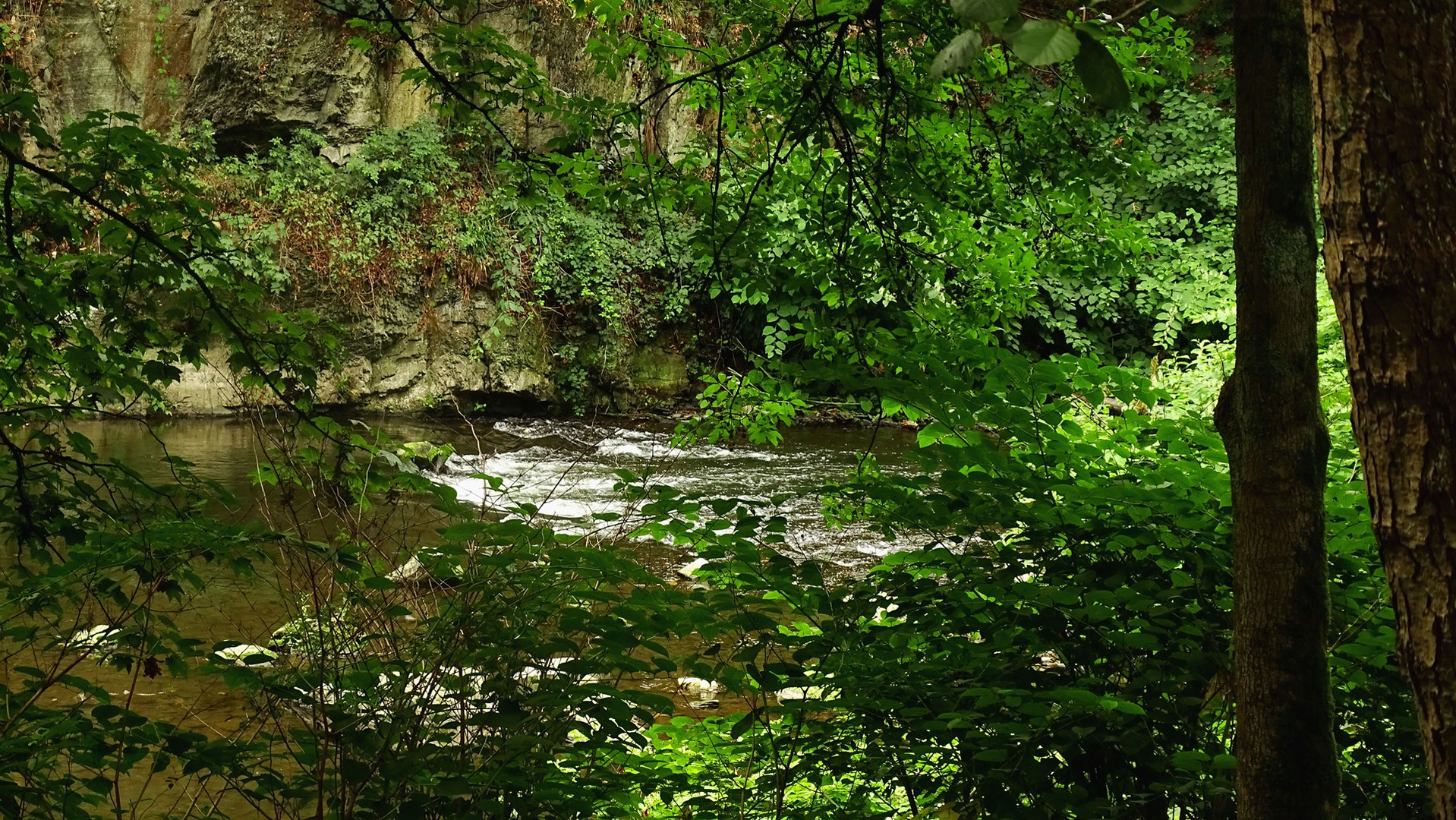 Die Wupper Foto & Bild natur, landschaft, fluss wupper Bilder auf