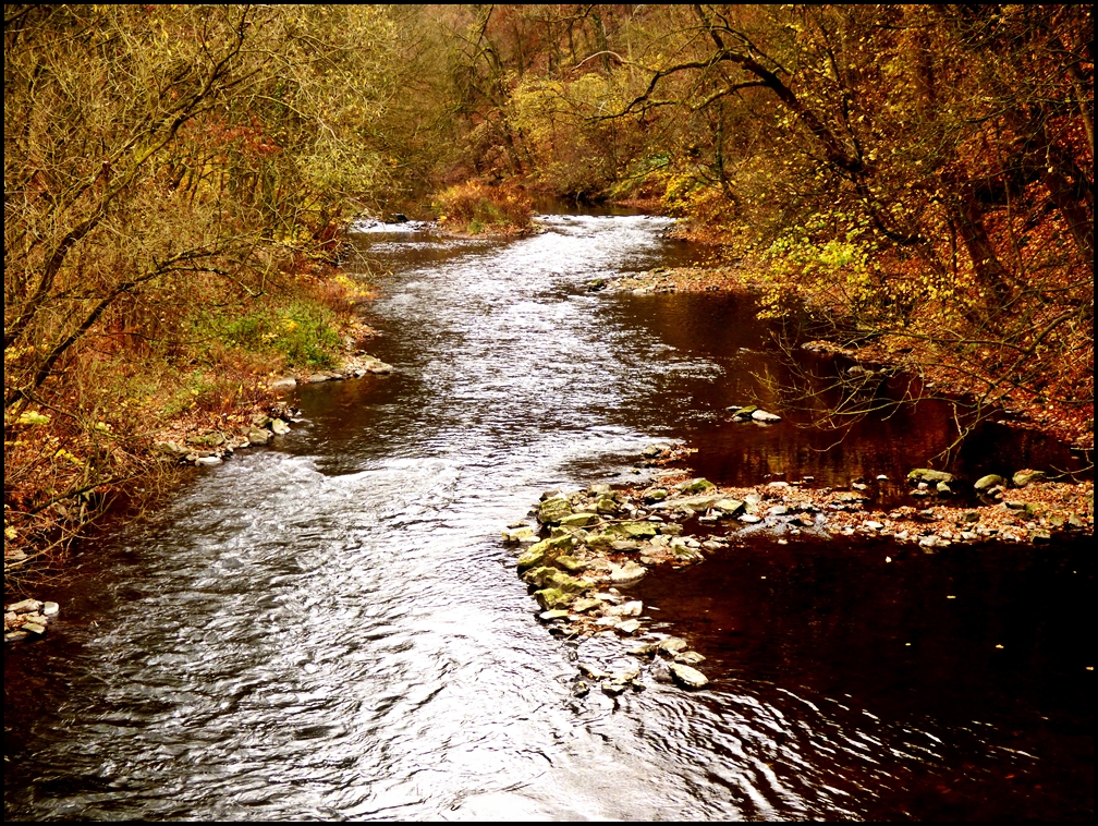 Die Wupper - Amazonas des Bergischen Landes