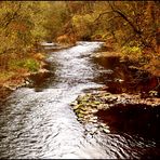 Die Wupper - Amazonas des Bergischen Landes