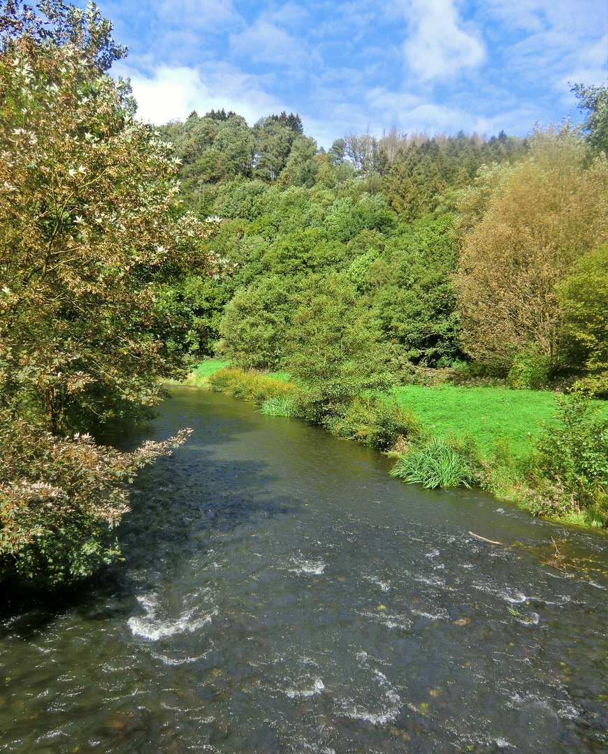 Die Wupper - Amazonas im Bergischen Land