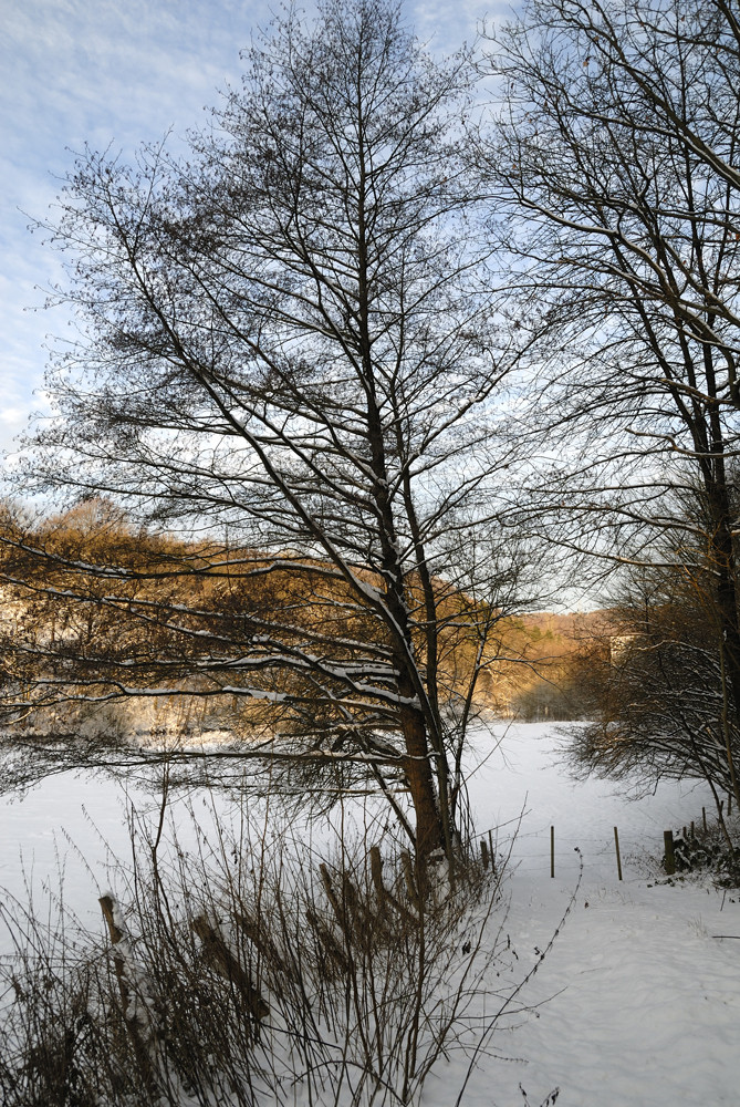 Die Wupper bei Beyenburg Erfurth