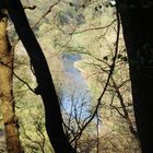 Die Wupper bei Rüden