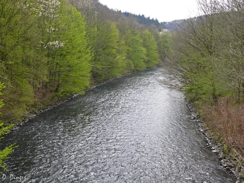 die Wupper bei SG-Friedenstal (Neubearbeitung)