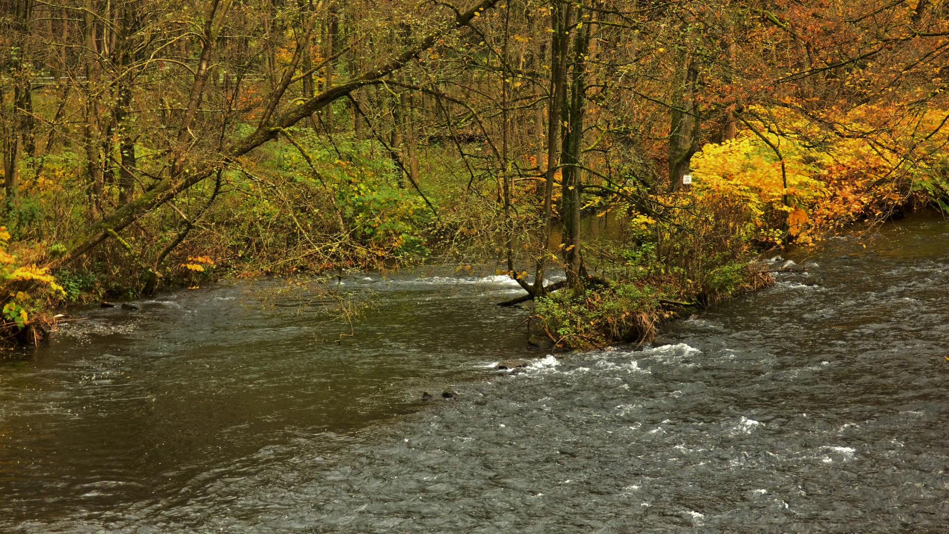 Die Wupper - Der Amazonas des Bergischen Landes