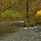 Die Wupper - Der Amazonas des Bergischen Landes