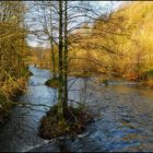 Die Wupper in Laaken