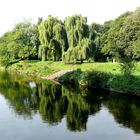 Die Wupper in Leverkusen-Opladen