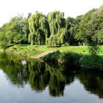 Die Wupper in Leverkusen-Opladen