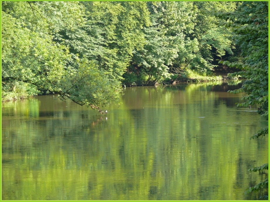 die Wupper in Müngsten